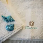 Daire Terradamare Monopoli